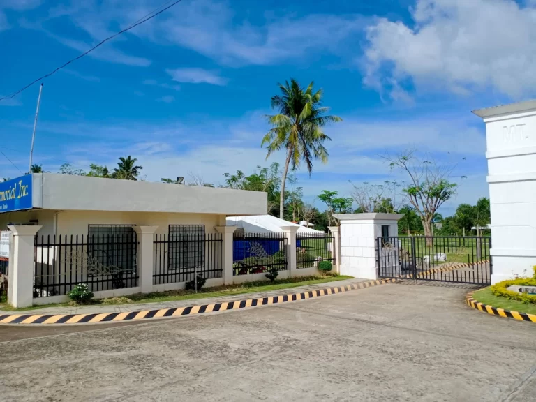 balasan (1)_1067_800