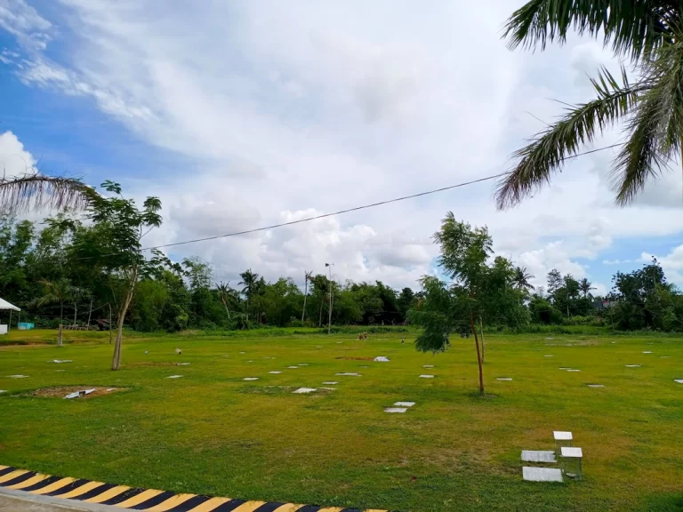 balasan (3)_1067_800