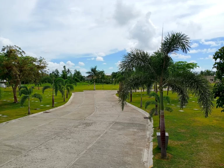 balasan (4)_1067_800