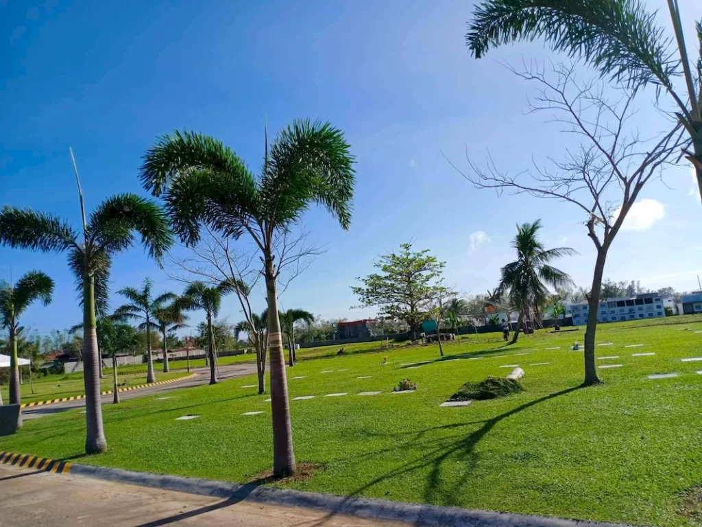 balasan (6)_1067_800