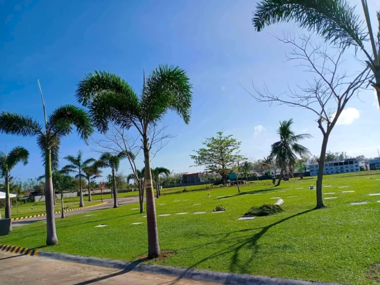 balasan (6)_1067_800