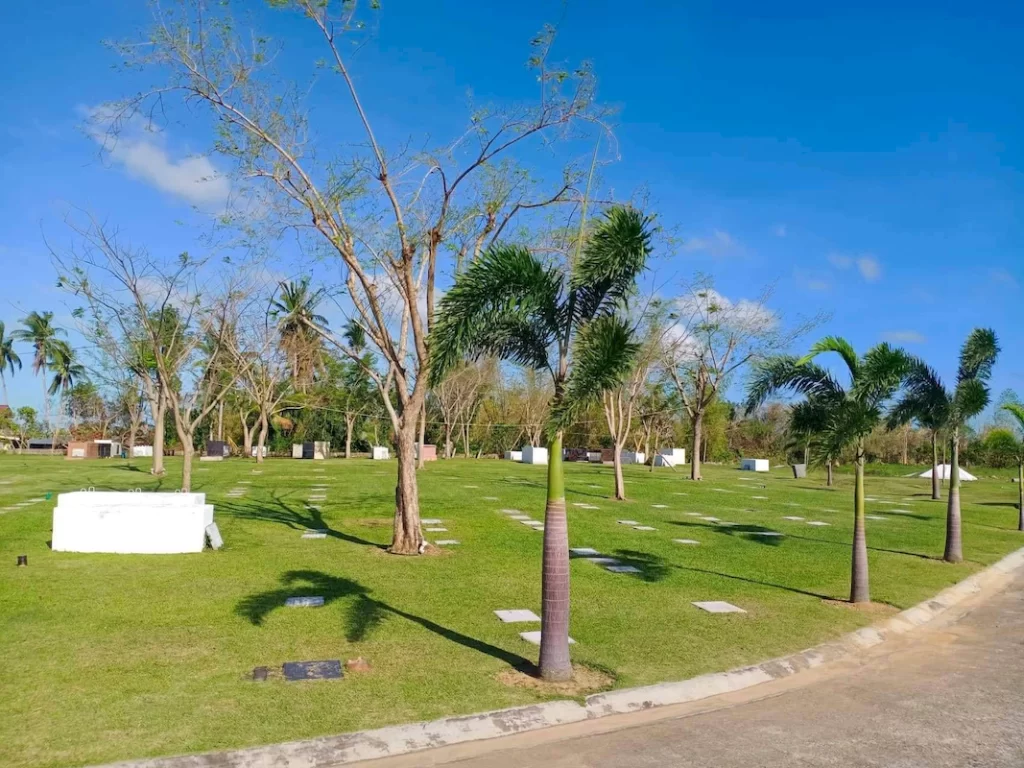 balasan (7)_1067_800