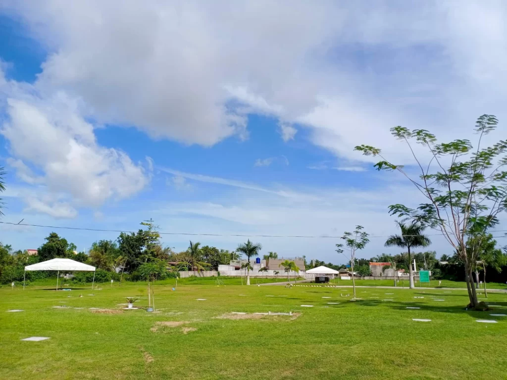 balasan (8)_1067_800