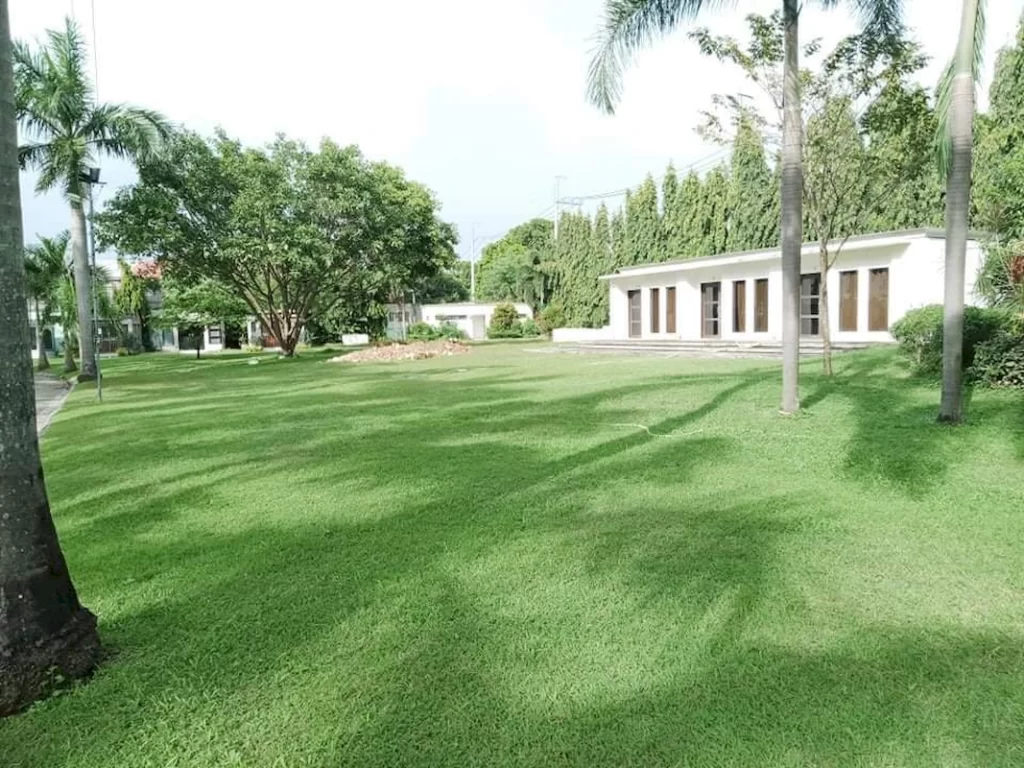 baliuag (14)_1067_800