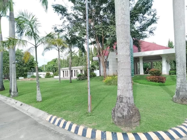 baliuag (15)_1067_800