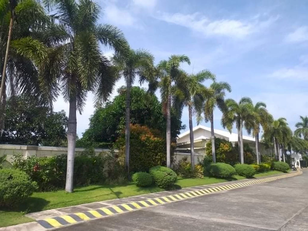 dagupan (9)_1066_800