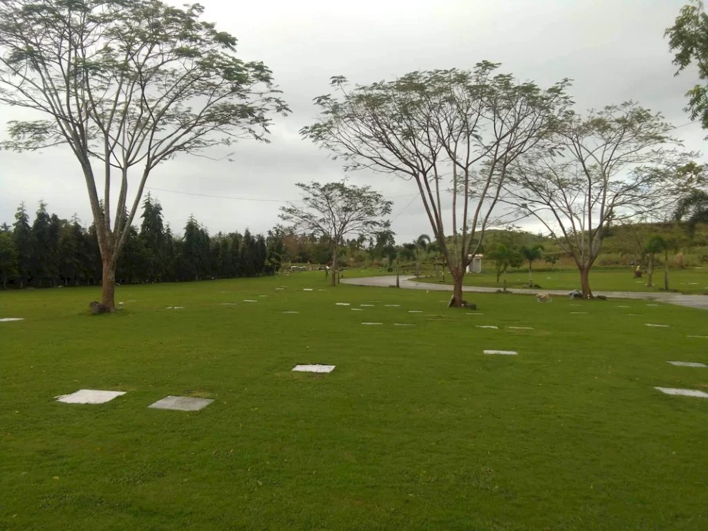 pontevedra (2)_1067_800