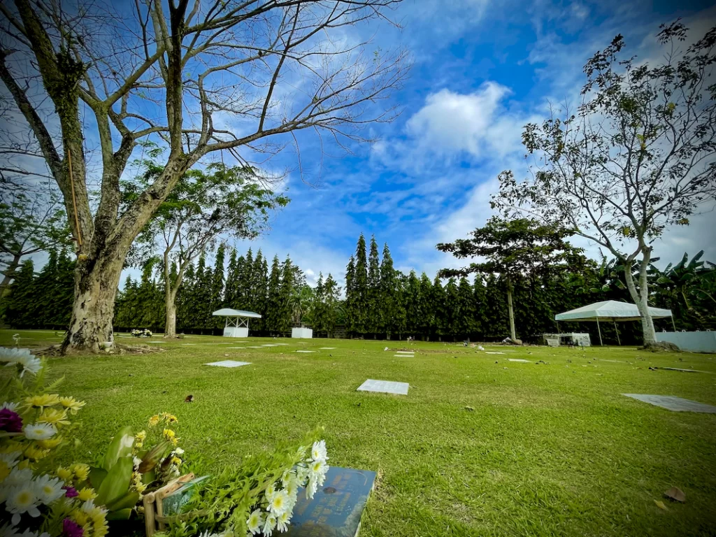 pontevedra (7)_1067_800