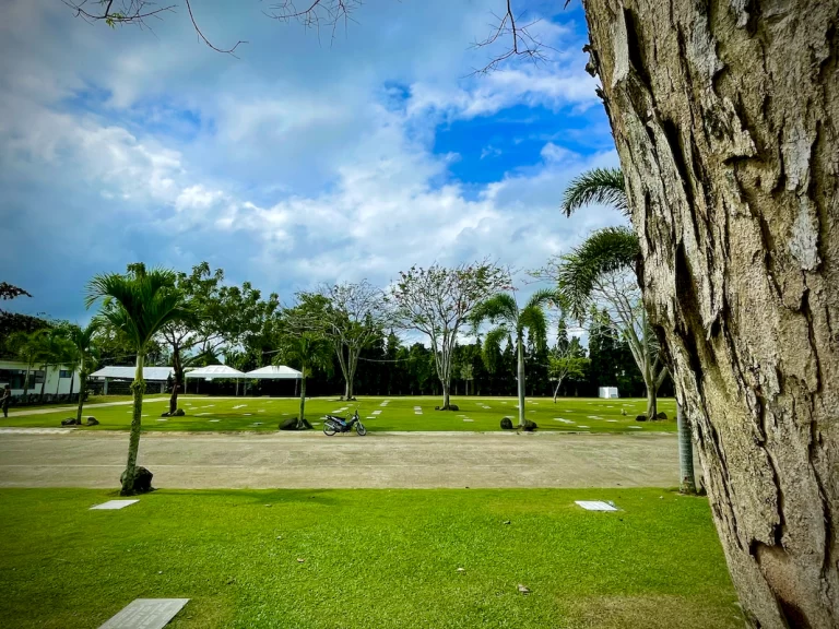 pontevedra (8)_1067_800