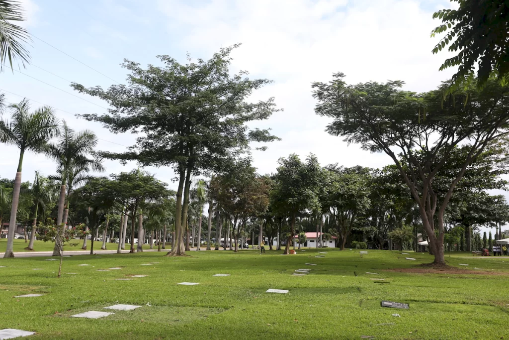 sta-rosa (27)_1200_800