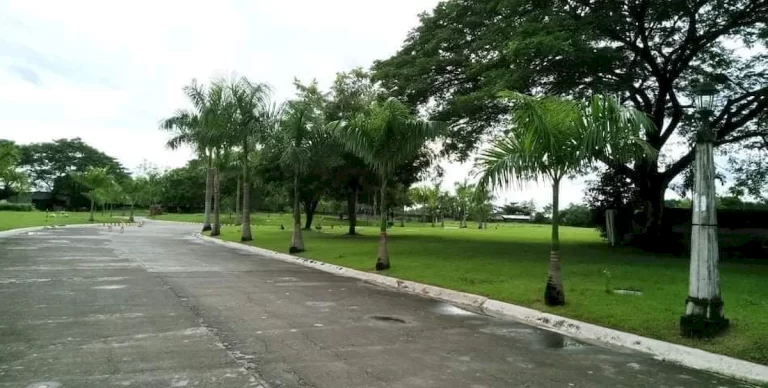 tarlac-city (3)_1200_606