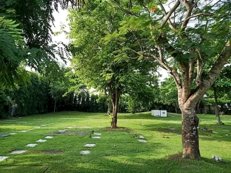 tarlac-city (7)_1066_800