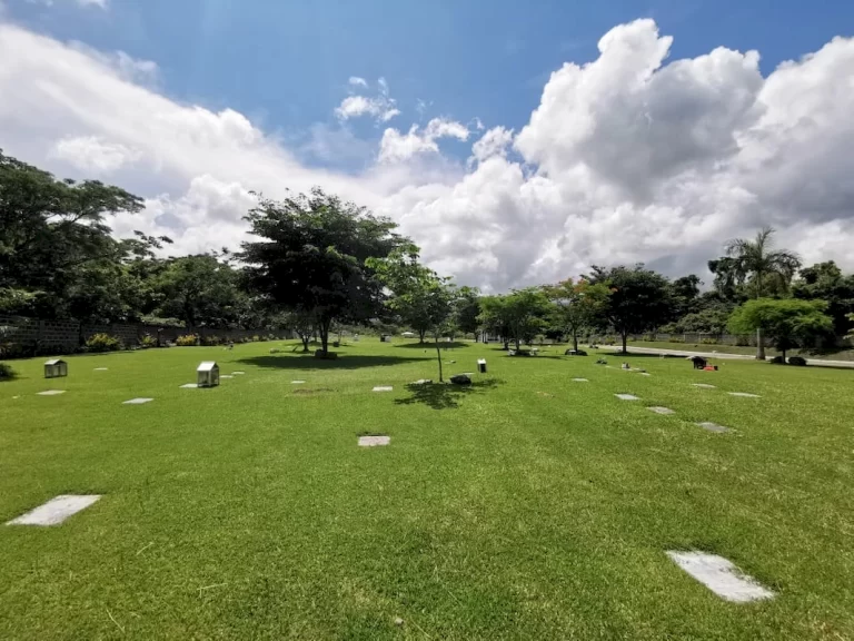 sariaya (10)_1067_800