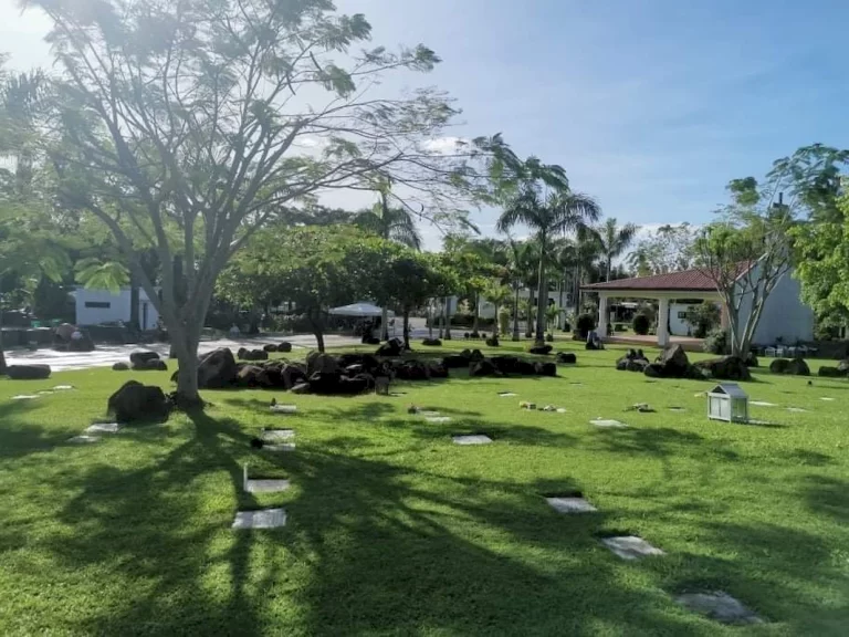 sariaya (11)_1067_800