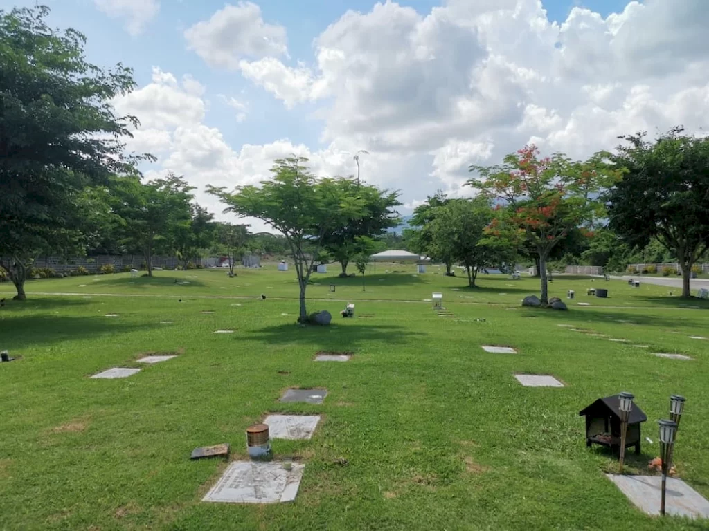 sariaya (7)_1067_800