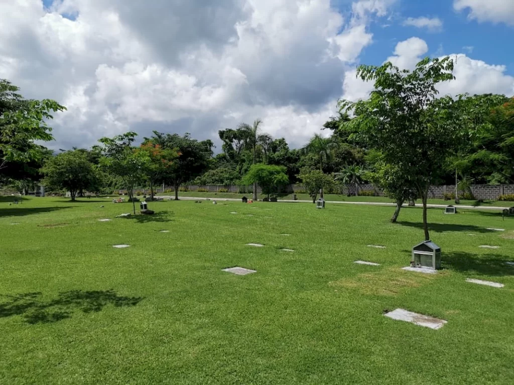 sariaya (9)_1067_800