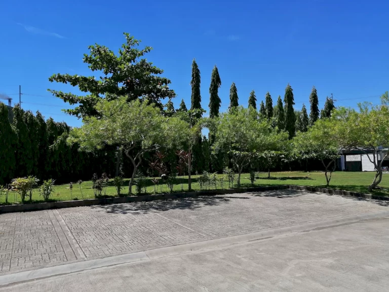 taytay (10)_1067_800