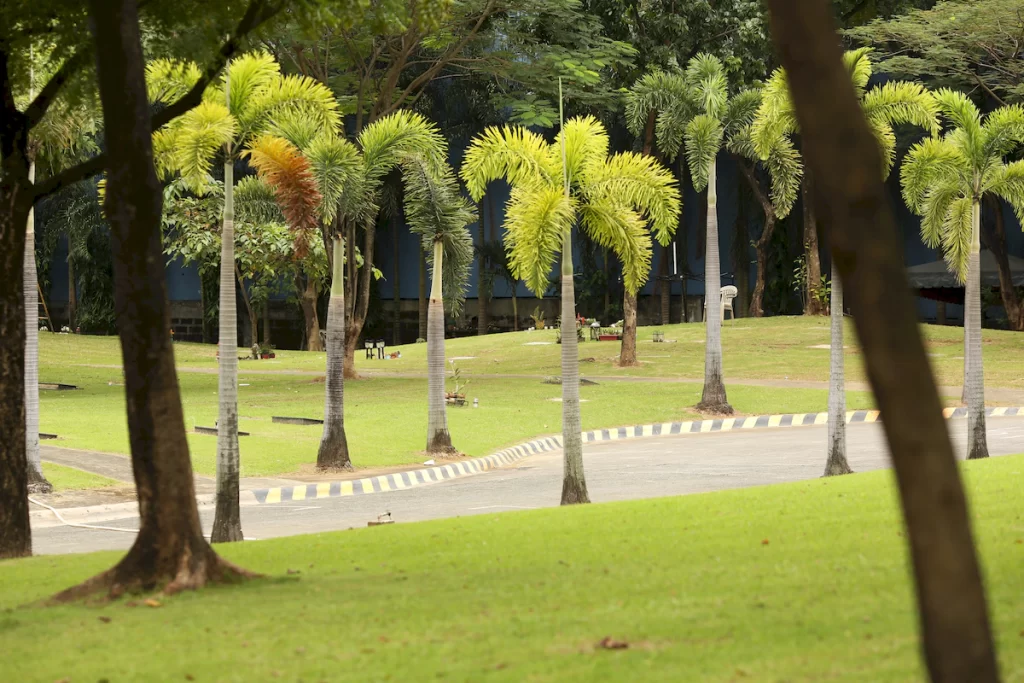 taytay (20)_1200_800